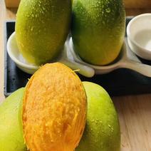 金沙芒果椰香芒，独特的自然环境造就了不一样的品质？