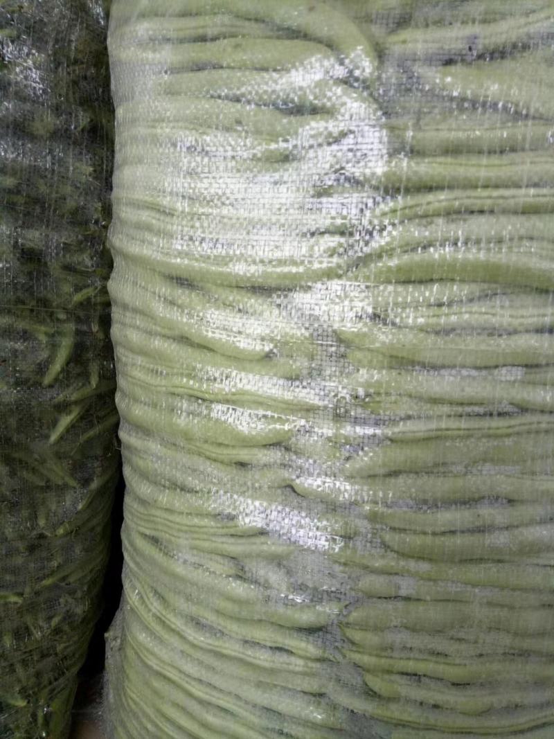 高山蔬菜之一五季豆闪亮登场啦！