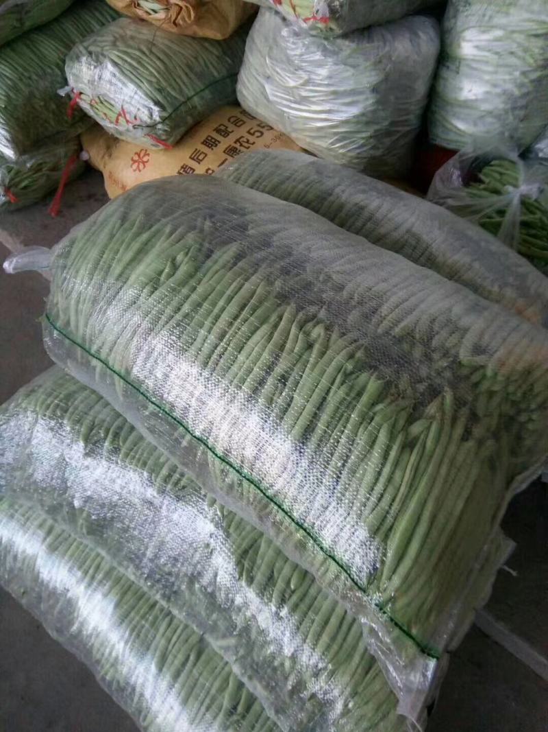 高山蔬菜之一五季豆闪亮登场啦！