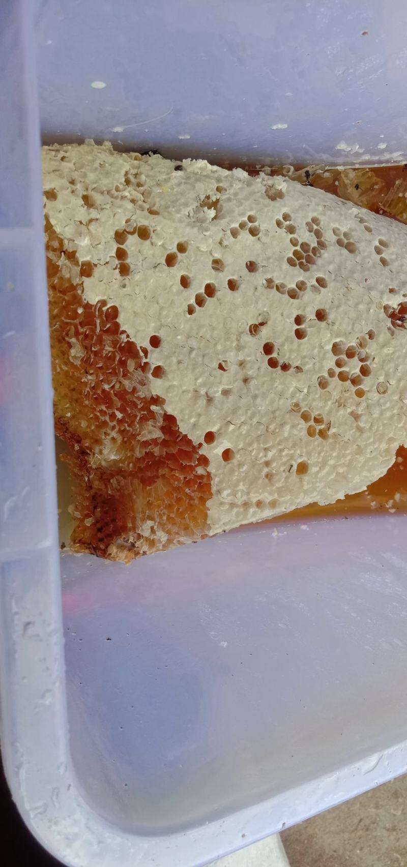 排蜂蜜