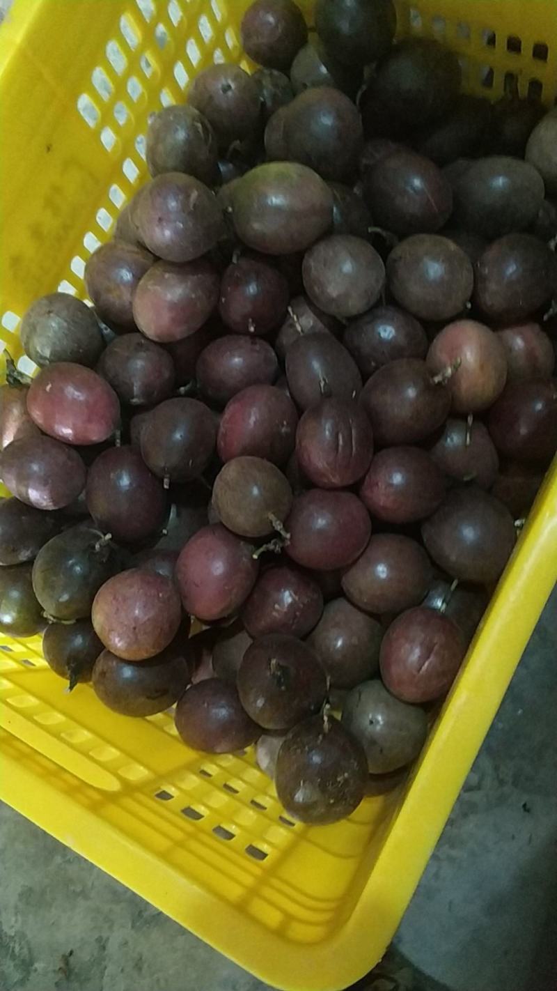 百香果原浆百香果酱百香果肉果汁原汁高山百香果奶茶店饮料