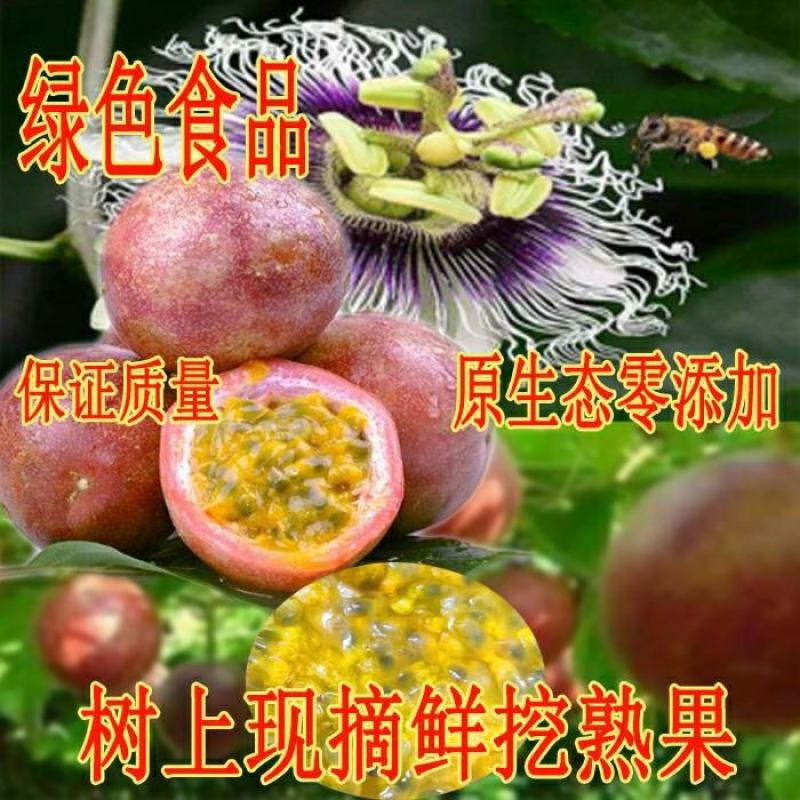 百香果原浆百香果酱百香果肉果汁原汁高山百香果奶茶店饮料