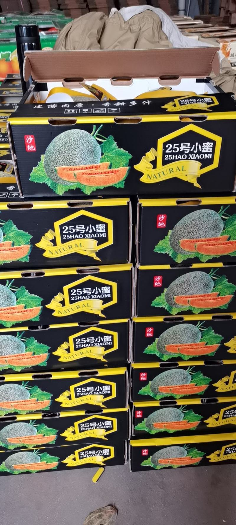 山东西州蜜大量有货，欢迎各地老板前来前来采购考察