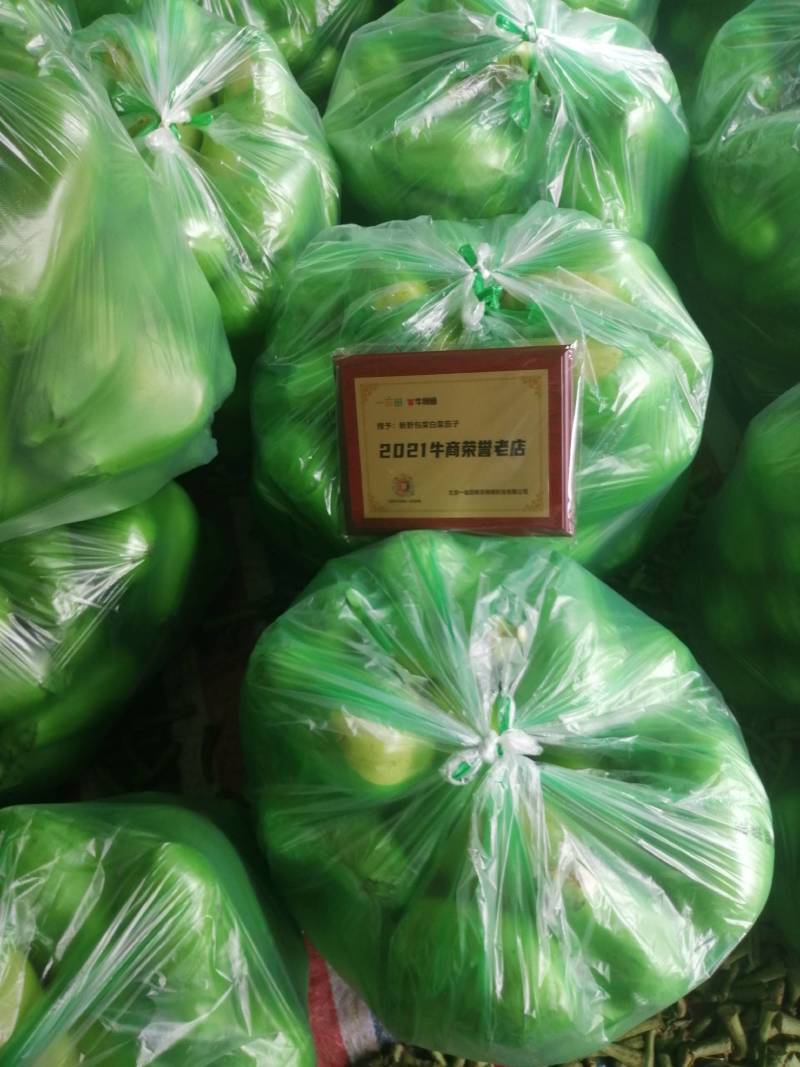 【茄子】大棚青茄已大量上市供应各大市场电商可视频看货