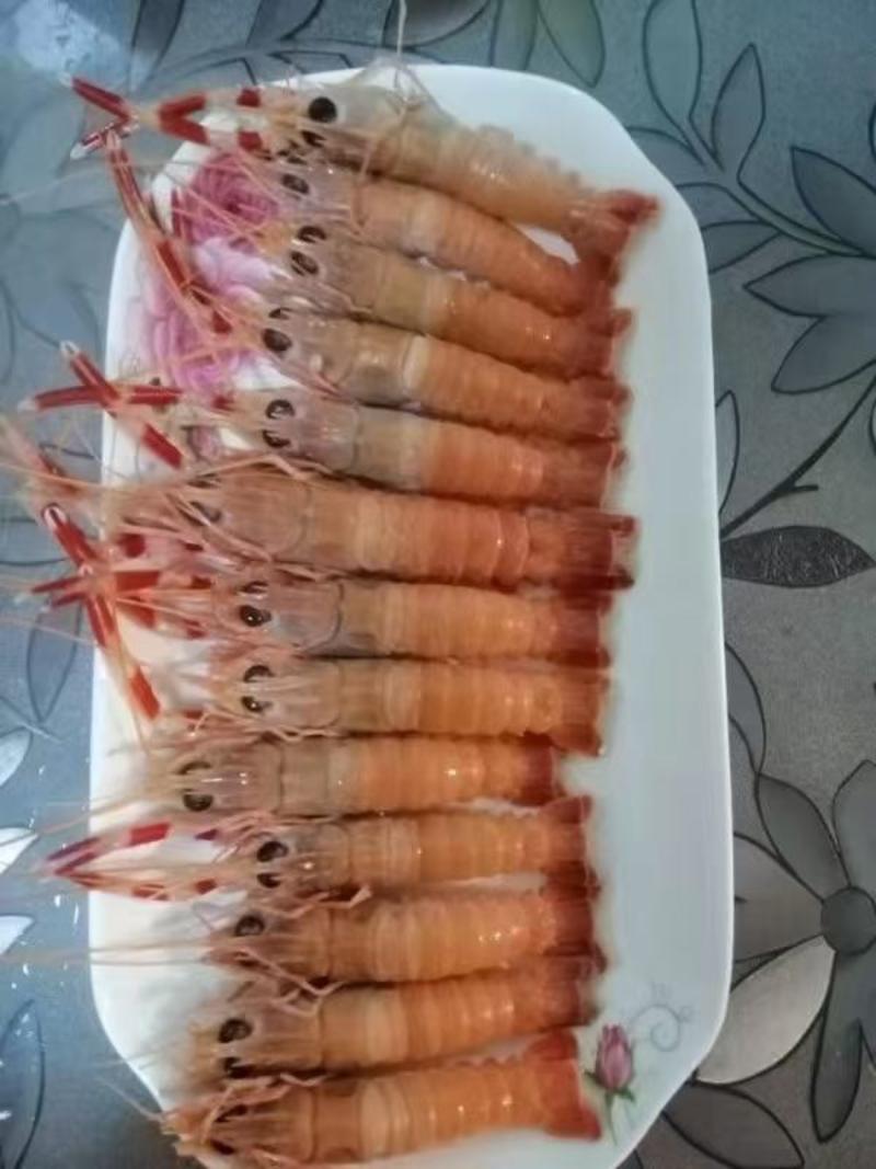 海螯虾，鲜活海螯虾活动一箱五斤，选用活虾活冻