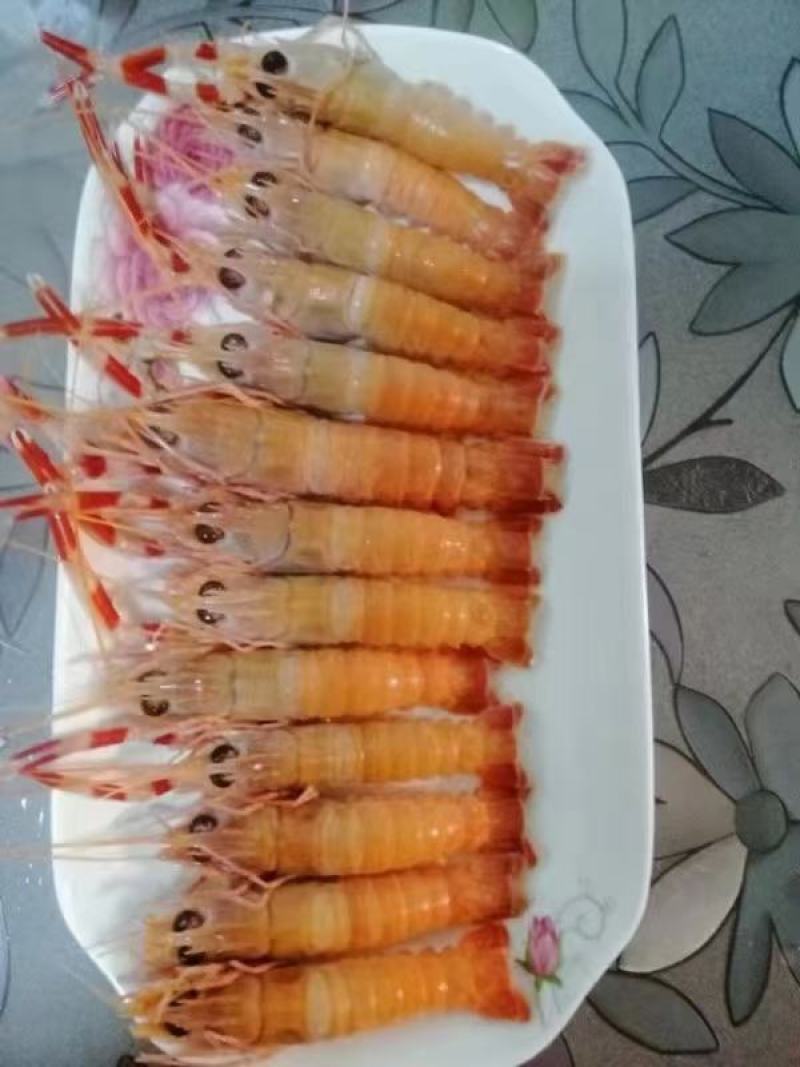 海螯虾，鲜活海螯虾活动一箱五斤，选用活虾活冻