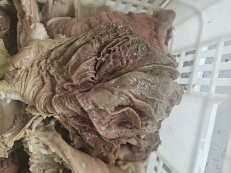 半成品牛散带，碗口