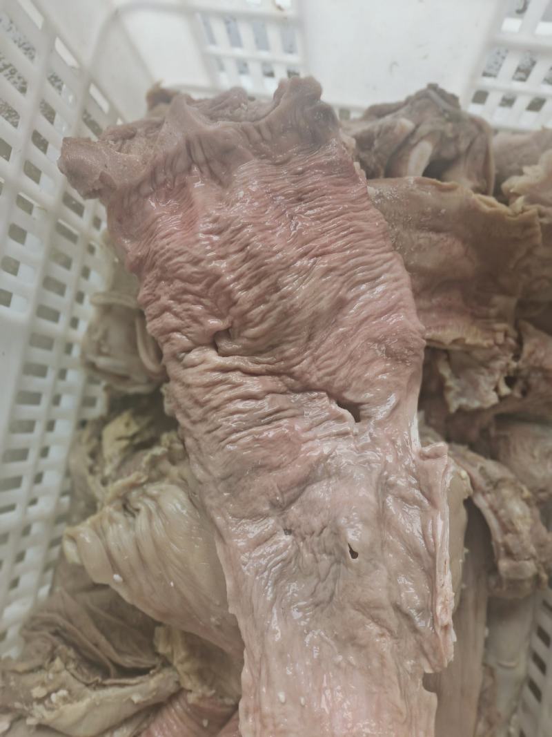 半成品牛散带，碗口