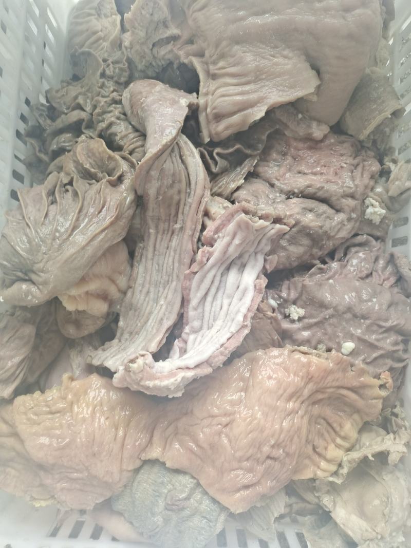 半成品牛散带，碗口
