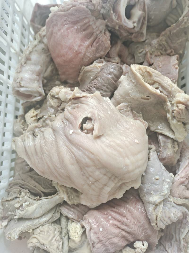 半成品牛散带，碗口