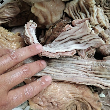半成品牛散带，碗口