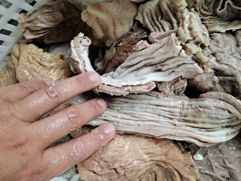 半成品牛散带，碗口
