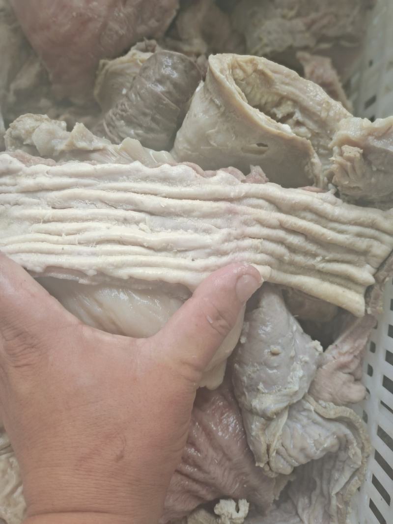 半成品牛散带，碗口