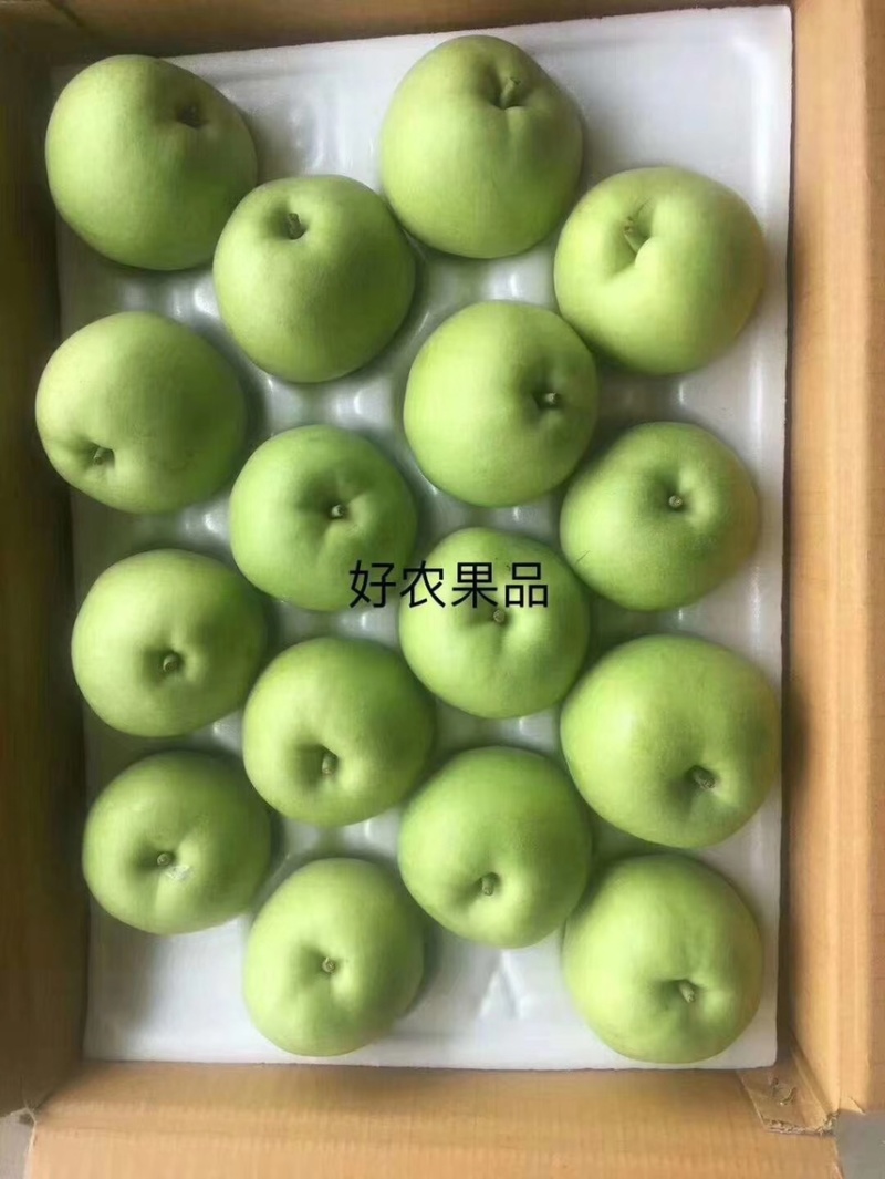 绿宝石梨产地青皮梨翠玉梨丰水梨秋月梨产地