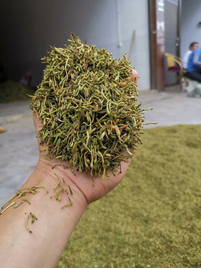 贵州金银花一级花蕾色青无硫味香杂质少