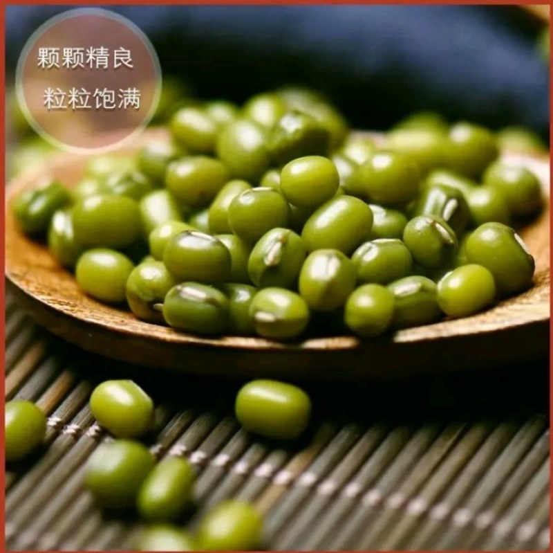 明绿豆油绿豆清火降温营养丰富易煮开花口感好