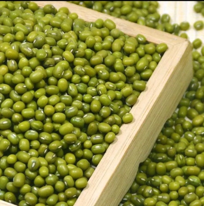 明绿豆油绿豆清火降温营养丰富易煮开花口感好