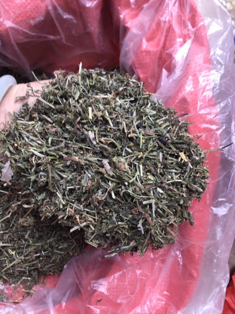中药材猪殃殃野生猪秧秧八仙草纯正品