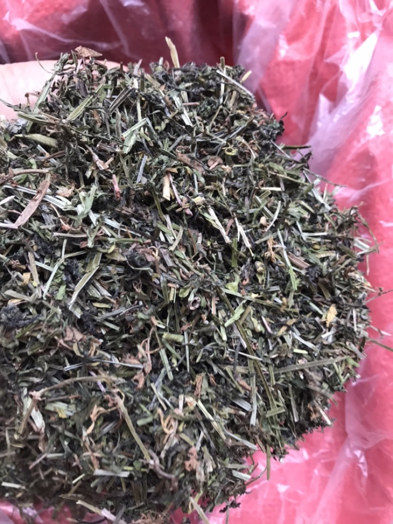 中药材猪殃殃野生猪秧秧八仙草纯正品