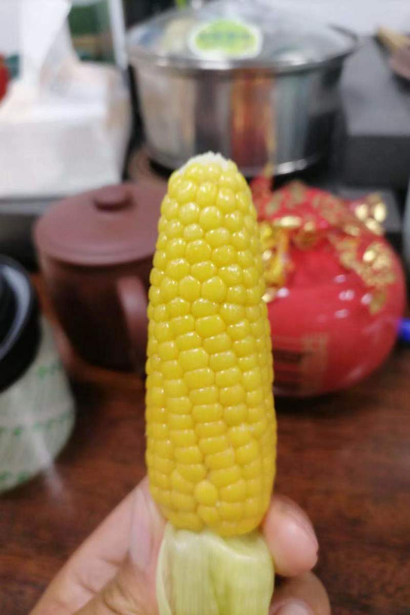 董浜黄金小玉米玉米产地直发和手指差不多长质量很好