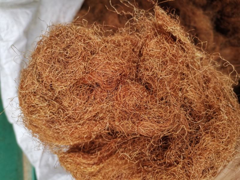 玉米须农家无硫统货新货干品玉米须肾茶