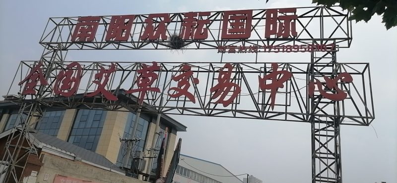 南阳大别山食用盆栽艾苗艾种子种殖合作社全程免费技术指导