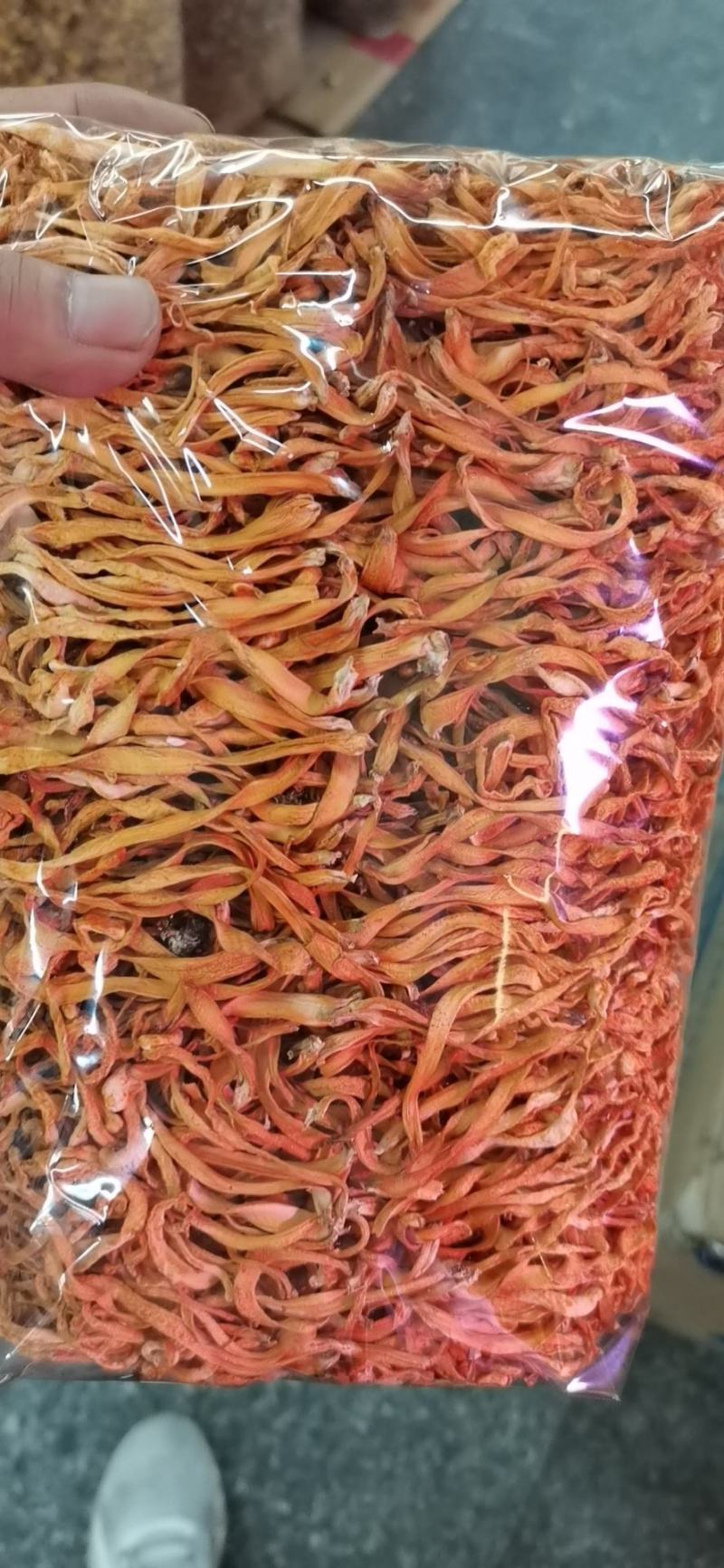虫草花