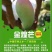 广西百色芒果，电商一件代发，直播，社区团购落地配等。