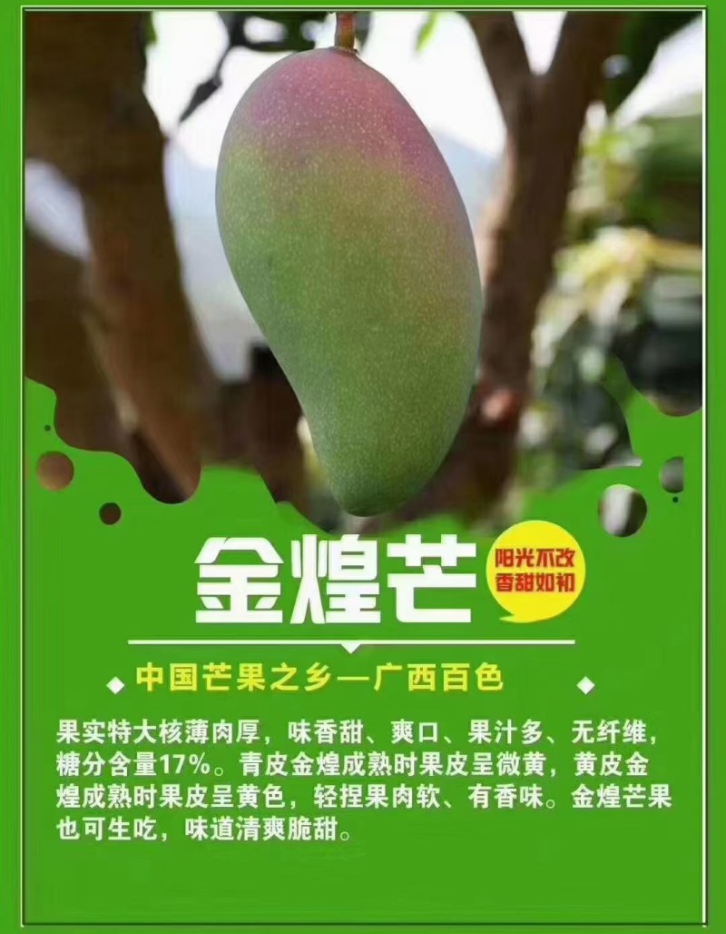 广西百色芒果，电商一件代发，直播，社区团购落地配等。