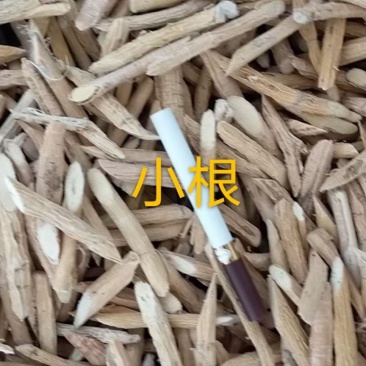牛大力小根带部分薯
