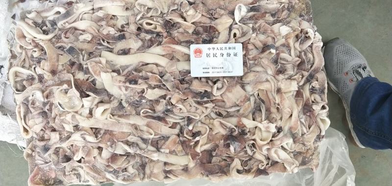 板冻鱿鱼条，食堂用，价不高，货不多。