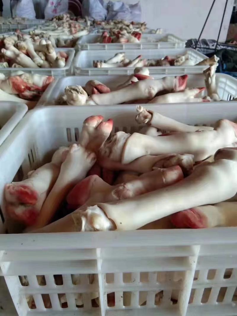 精品羊蹄.大中小规格均有现货.工厂店。货源充足。