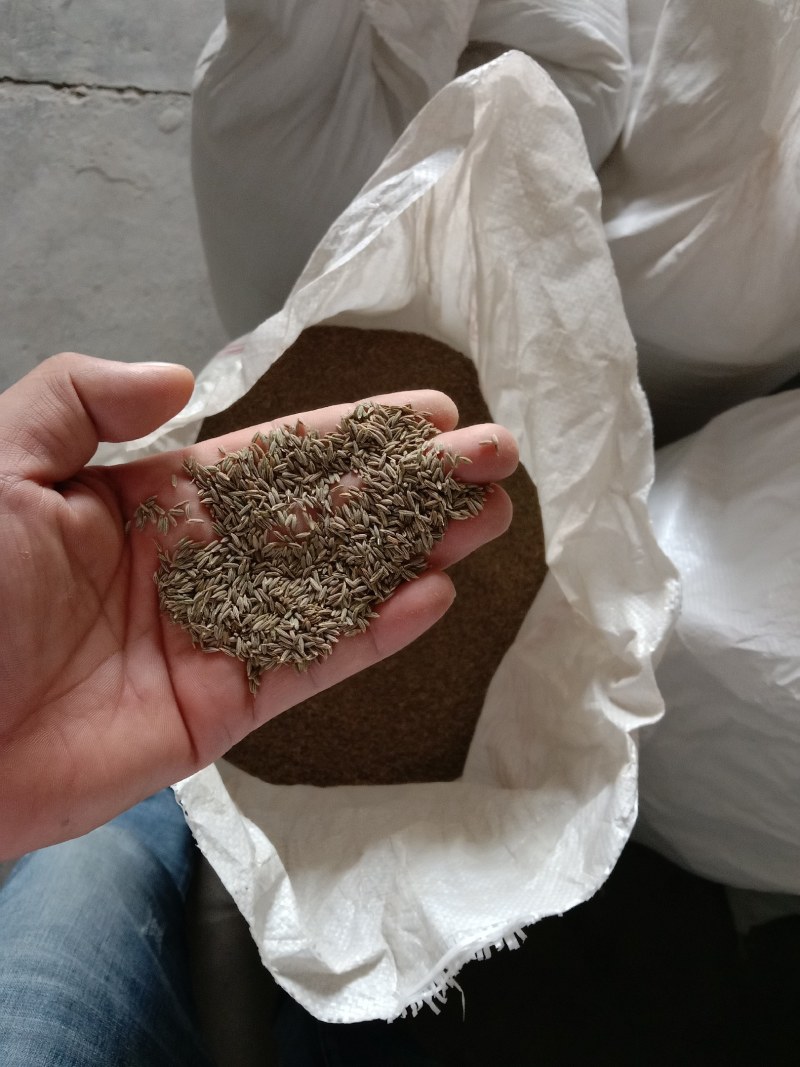 吐鲁番盆地托克逊孜然