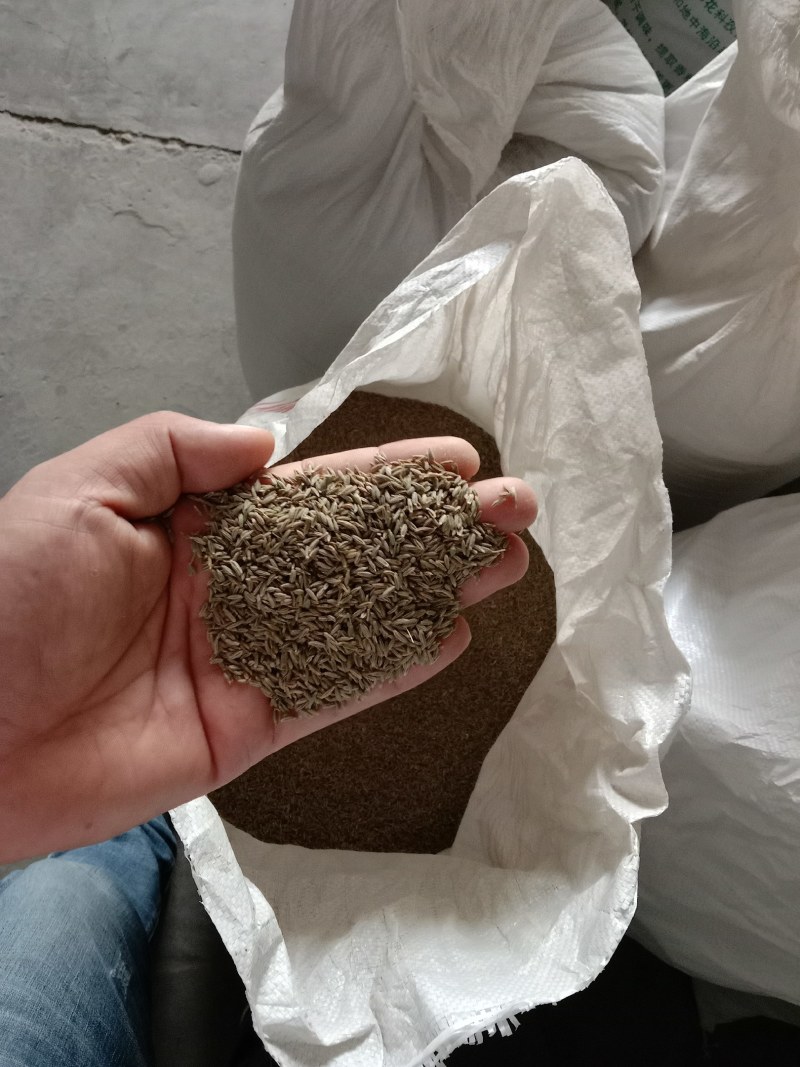 吐鲁番盆地托克逊孜然