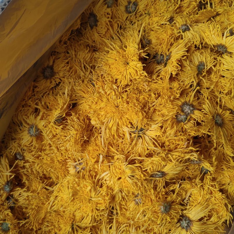 黄山产地直供20g罐装金丝皇菊