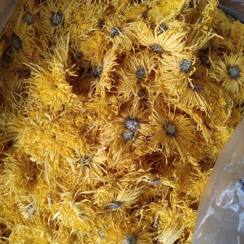 黄山产地直供20g罐装金丝皇菊