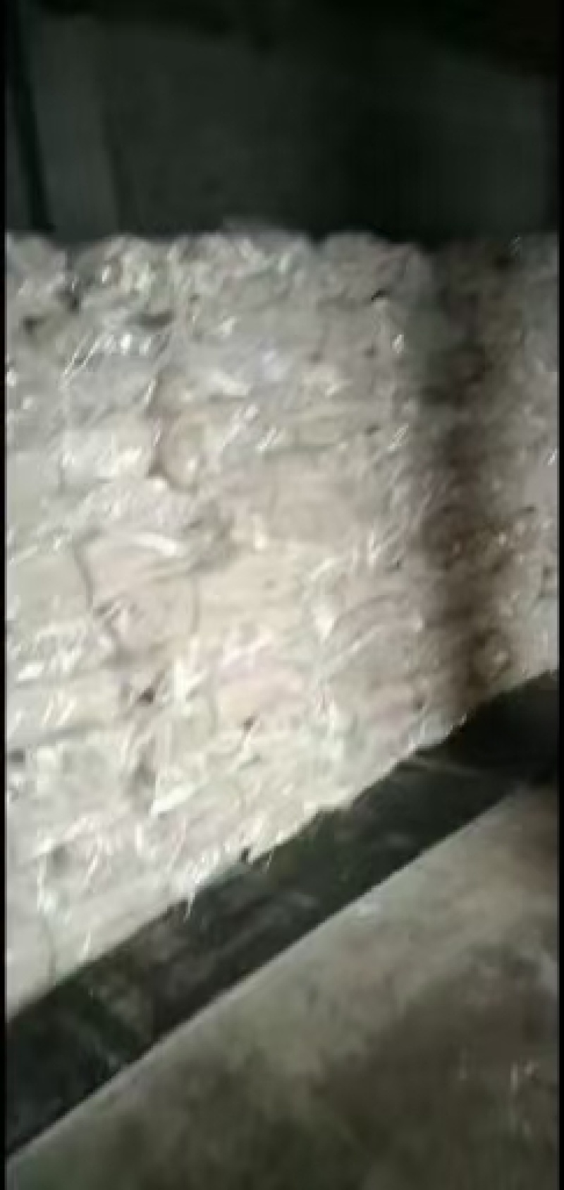 批发纯土豆手工粉条、粉丝宽粉，粉皮，好吃劲道家乡特产