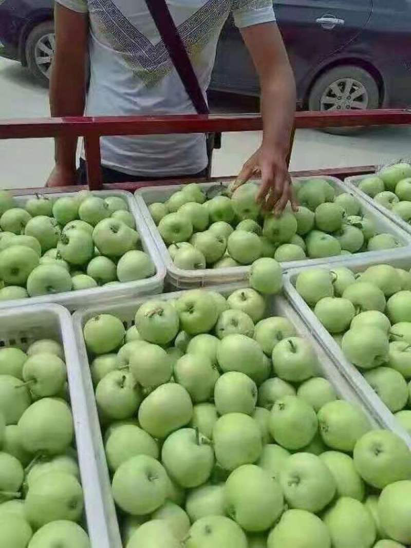 山东辽伏苹果辽伏苹果产地批发质量好口感脆甜全国发货