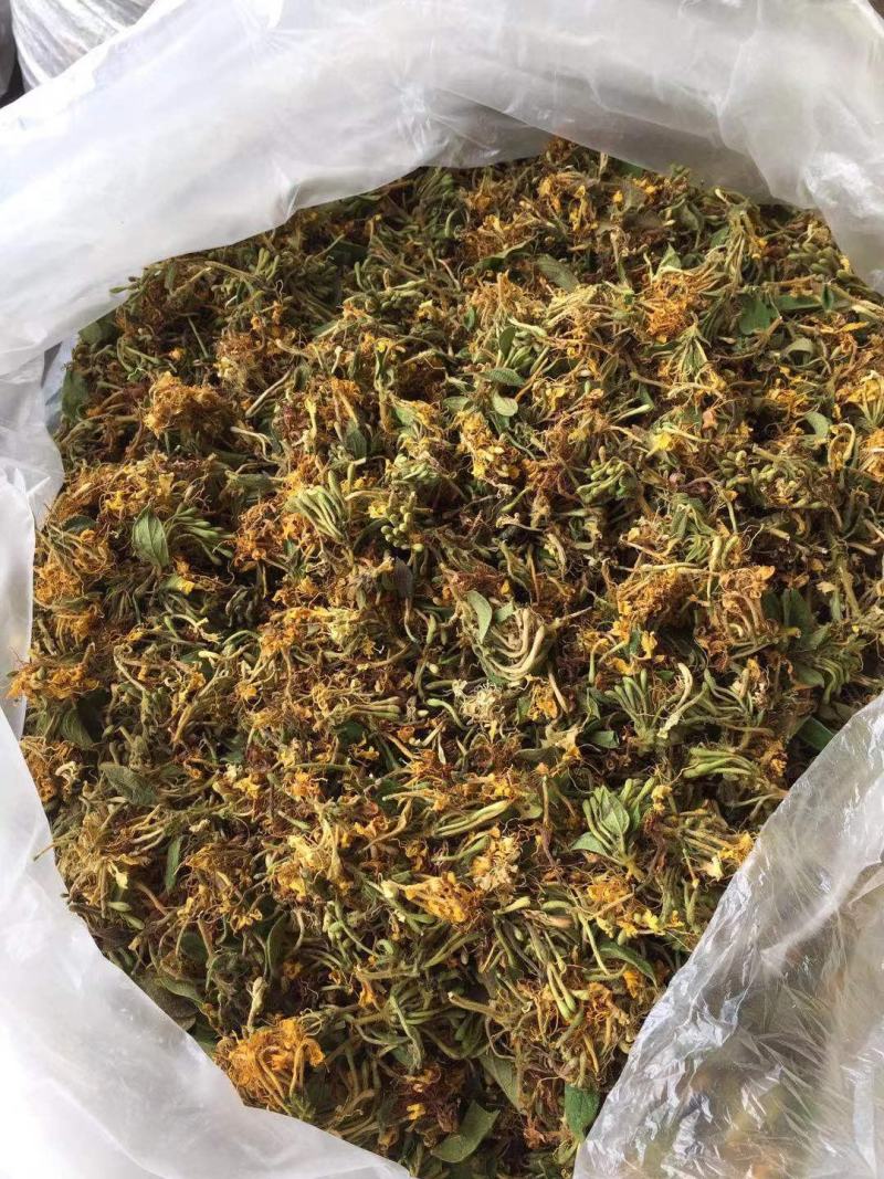 大量供应金银花统货，色香味俱全价格便宜，