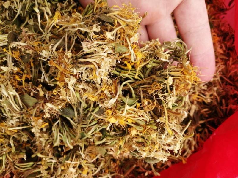 大量供应金银花统货，色香味俱全价格便宜，