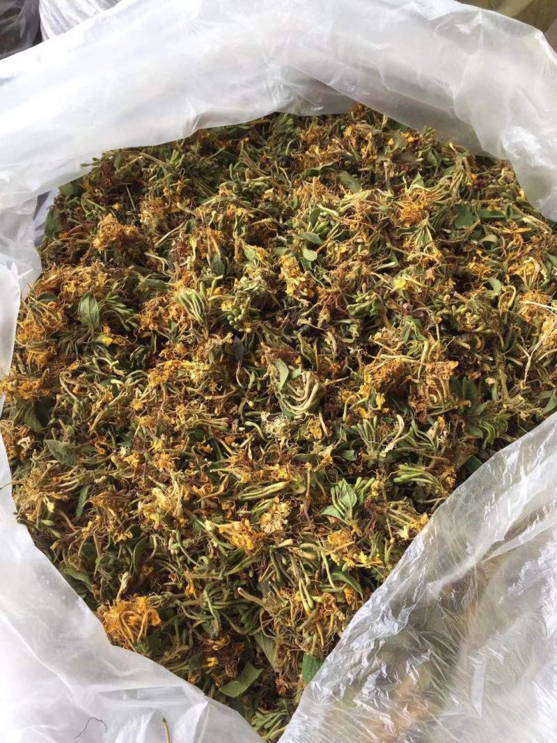 大量供应金银花统货，色香味俱全价格便宜，