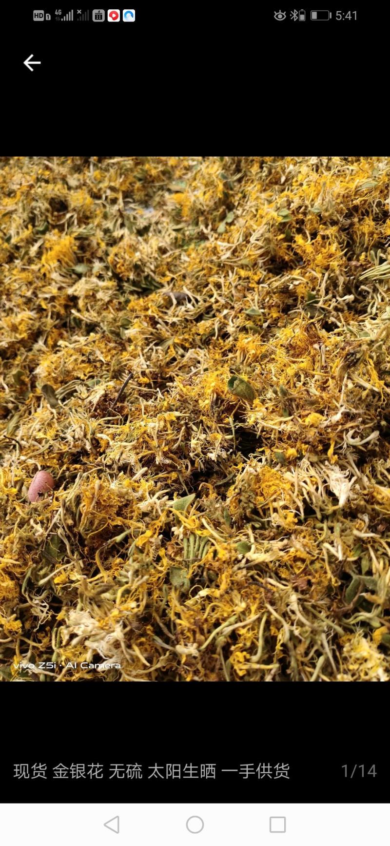 大量供应金银花统货，色香味俱全价格便宜，