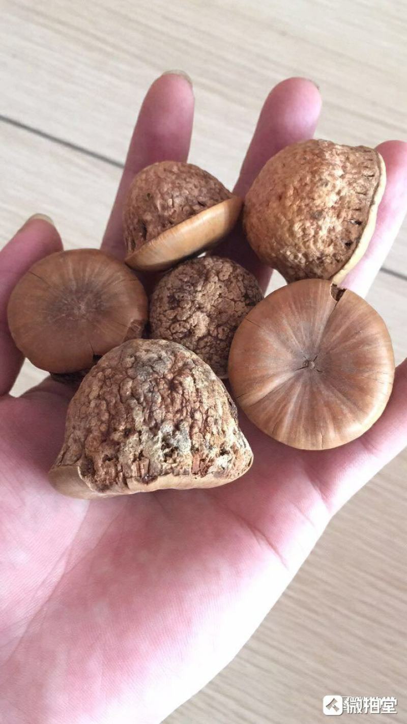 精品野生风流果包邮量大优惠