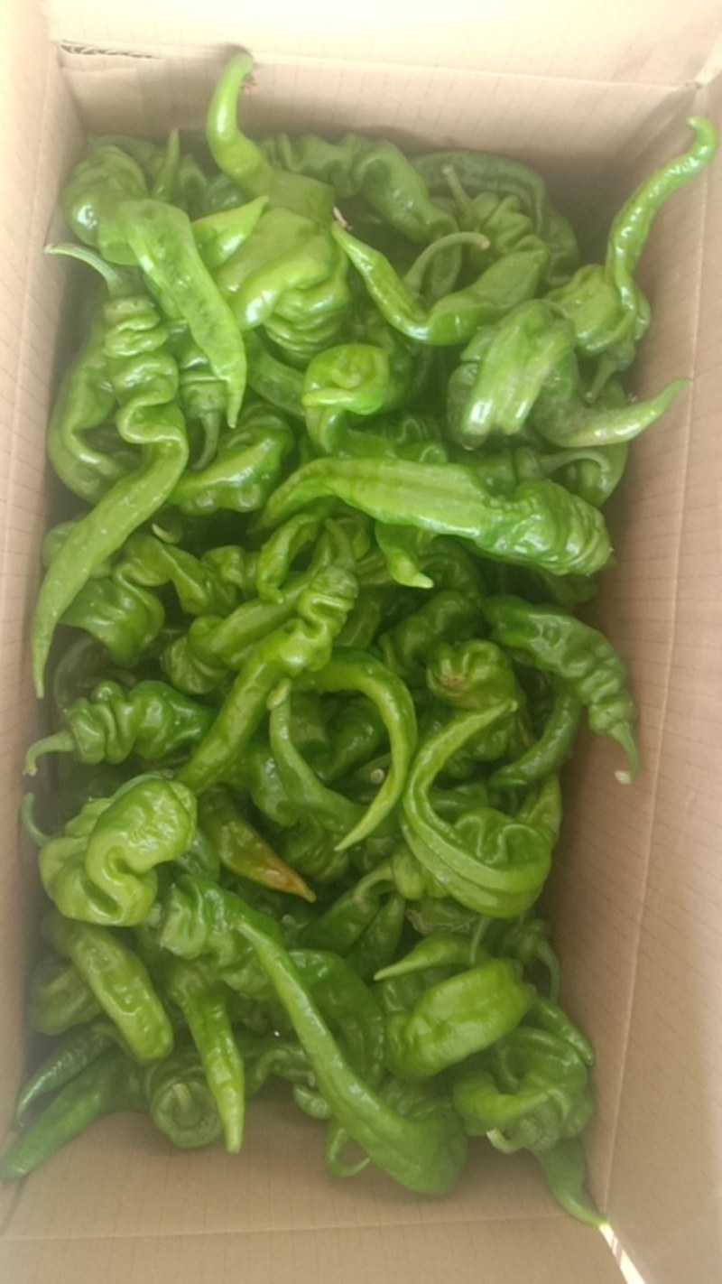 螺丝椒
