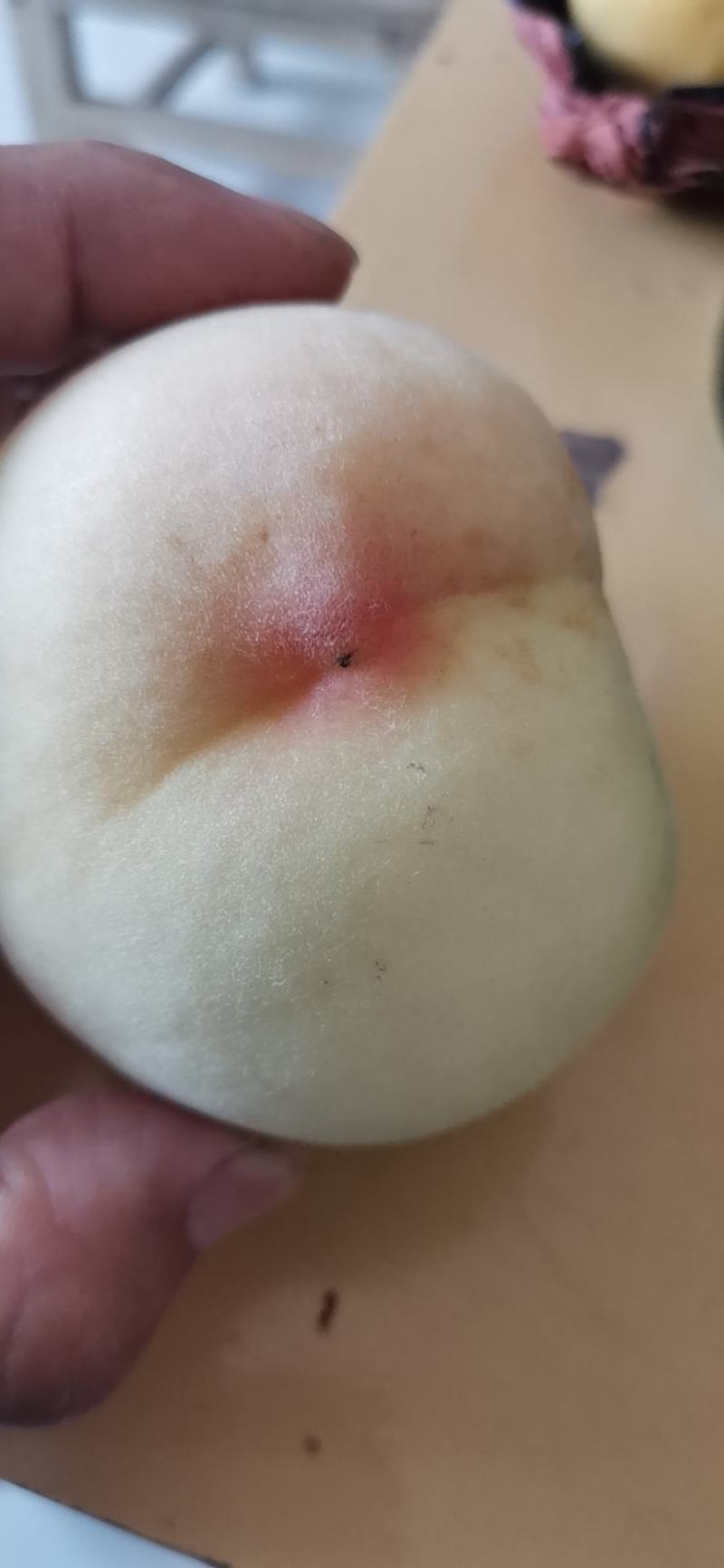 萧县实力代办，产地直销套袋白桃水蜜桃货源充足