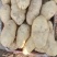 土豆河北土豆荷兰十五土豆产地直销实力代办发全国