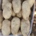 土豆河北土豆荷兰十五土豆产地直销实力代办发全国