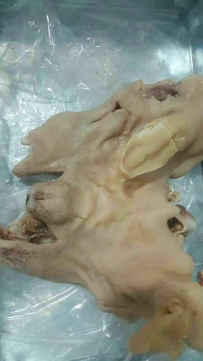 【卤味】熟羊头肉，量大从优，感兴趣的朋友欢迎您的光临！