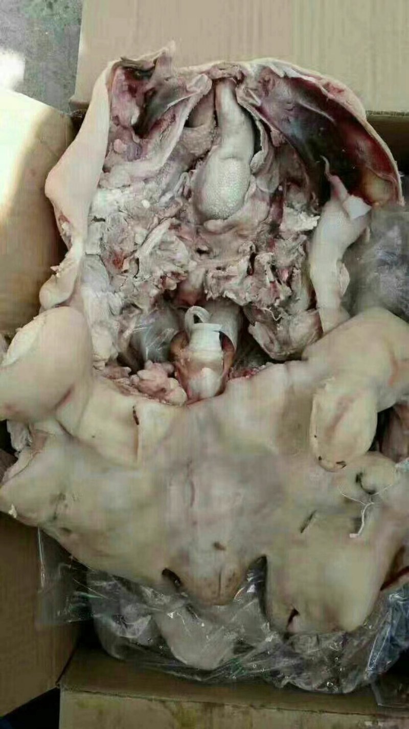 【卤味】熟羊头肉，量大从优，感兴趣的朋友欢迎您的光临！