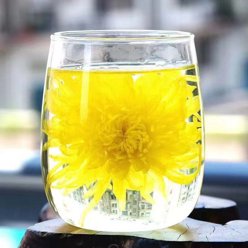 金丝黄菊一朵一杯